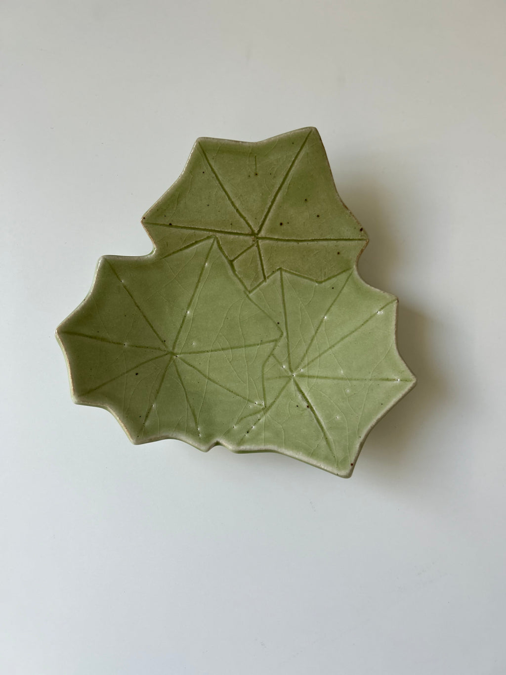 Momiji Plate